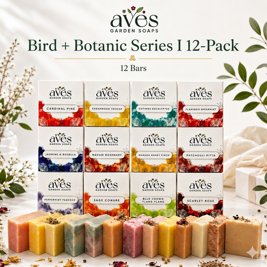 12-Pack Bird & Botanic