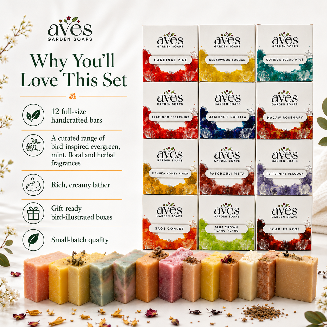 12-Pack Bird + Botanic Series