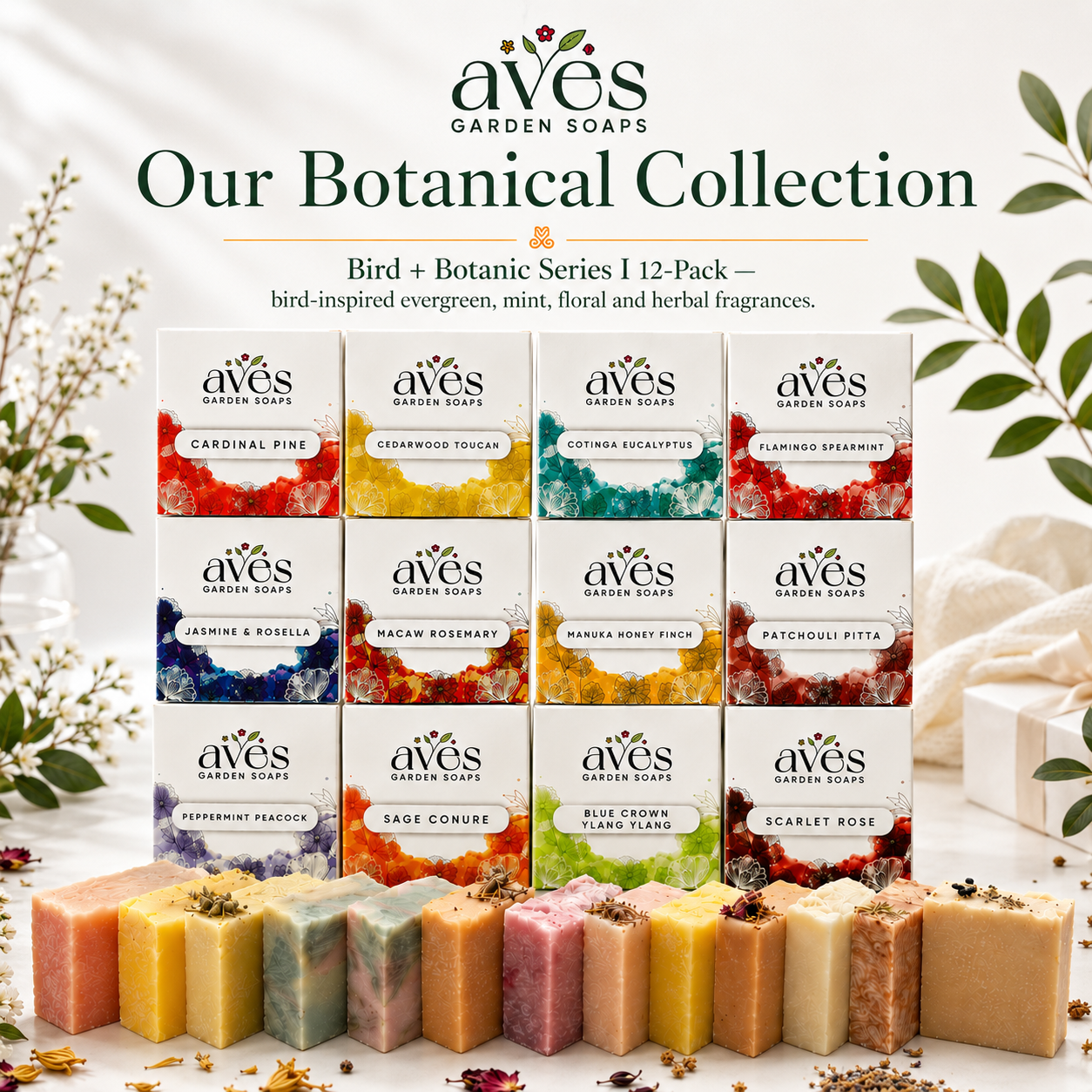 12-Pack Bird + Botanic Series
