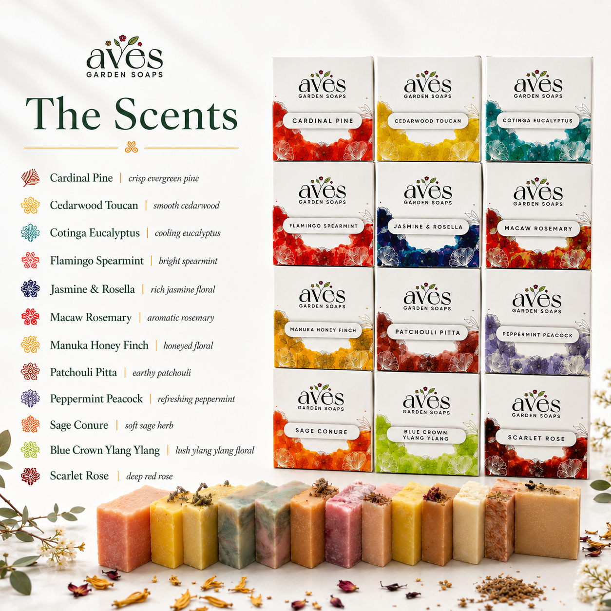 12-Pack Bird + Botanic Series