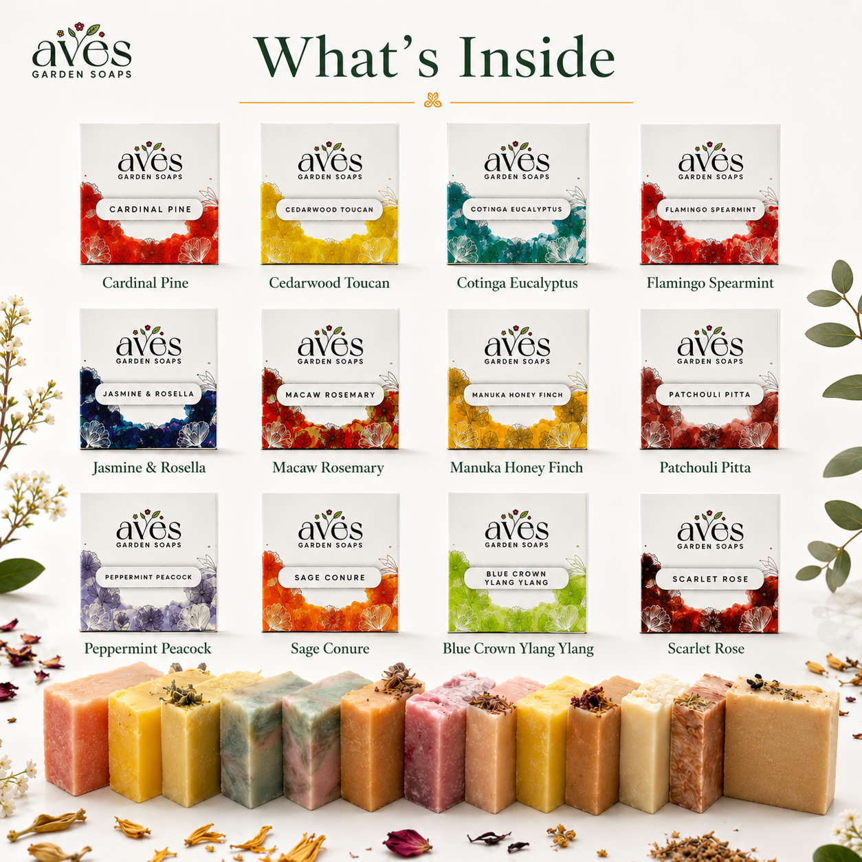 12-Pack Bird + Botanic Series