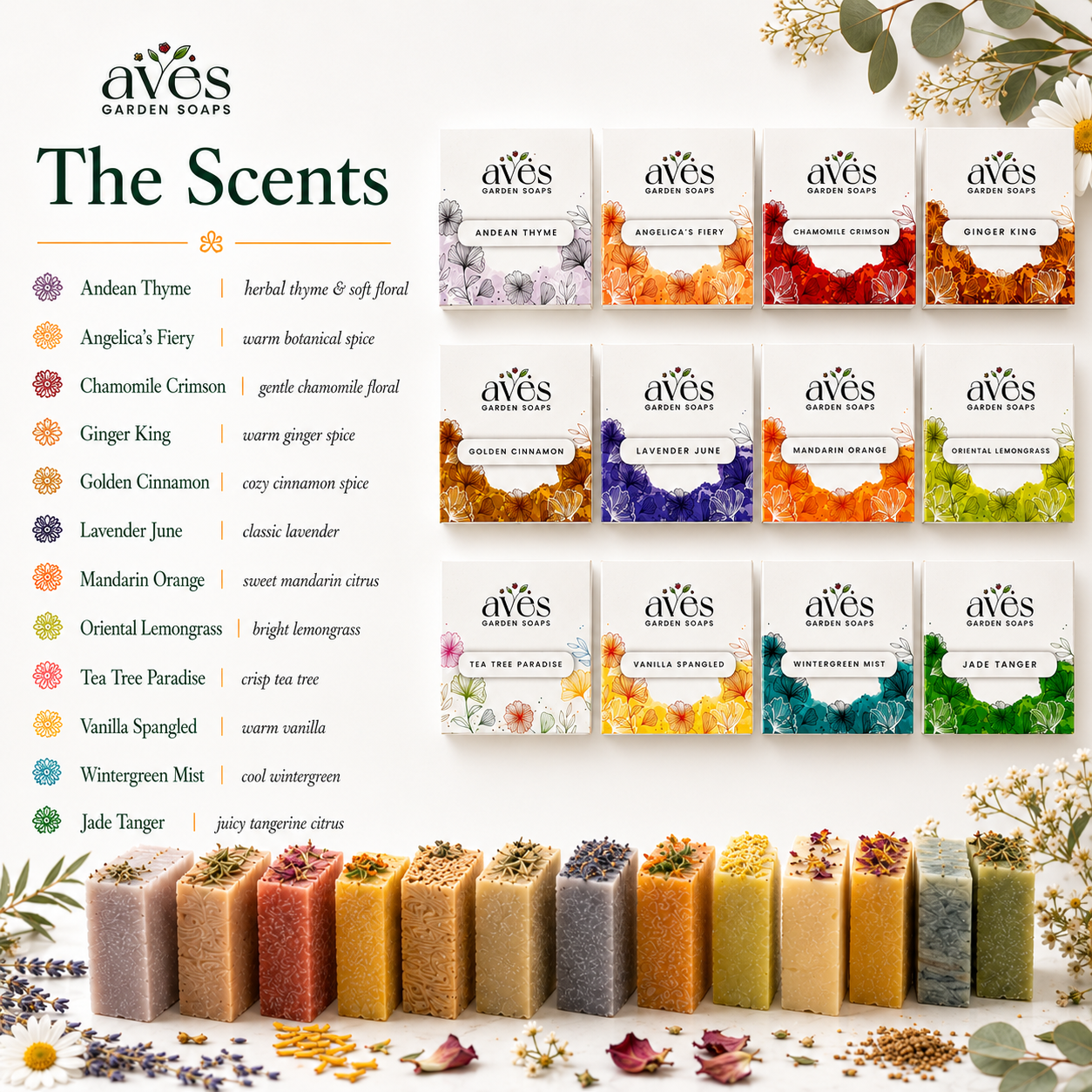 12-Pack Floral & Herb Series