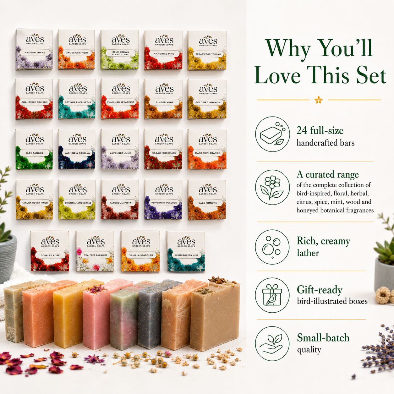 24-Pack Complete Variety&nbsp;