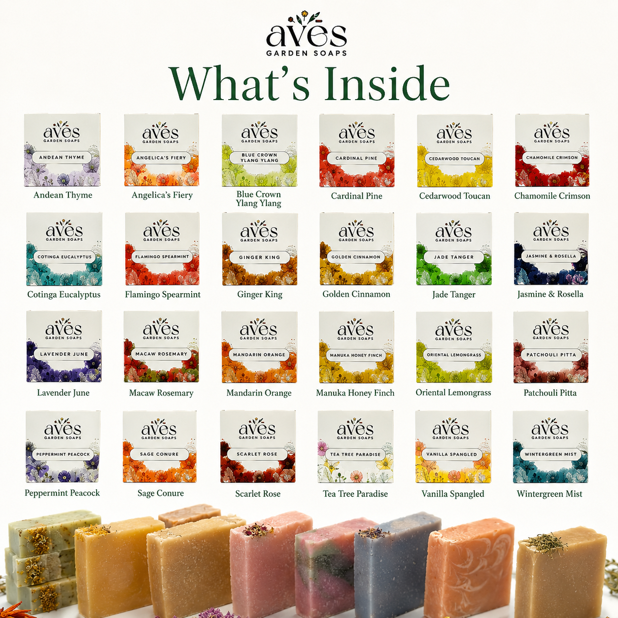 24-Pack Complete Variety&nbsp;