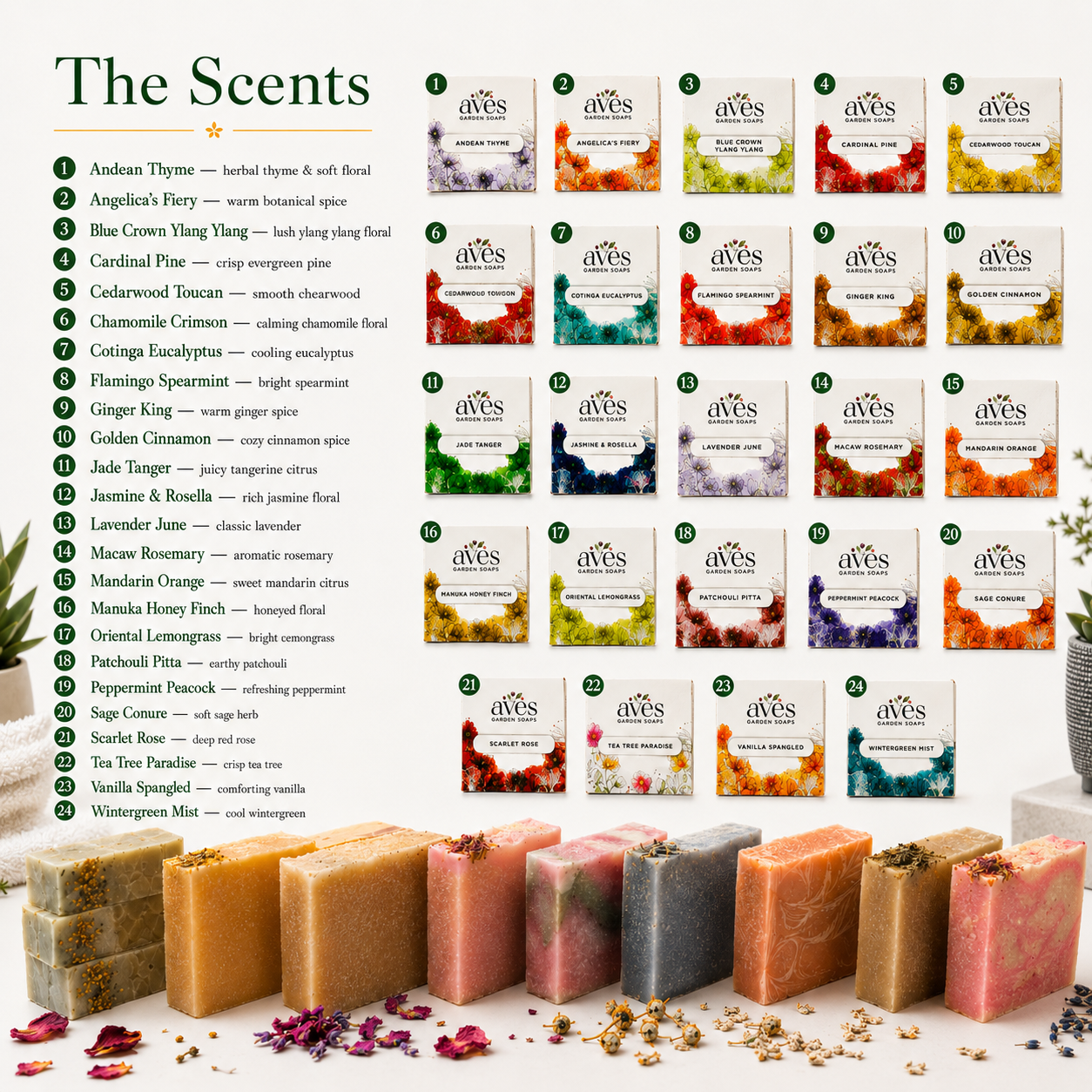 24-Pack Complete Variety&nbsp;
