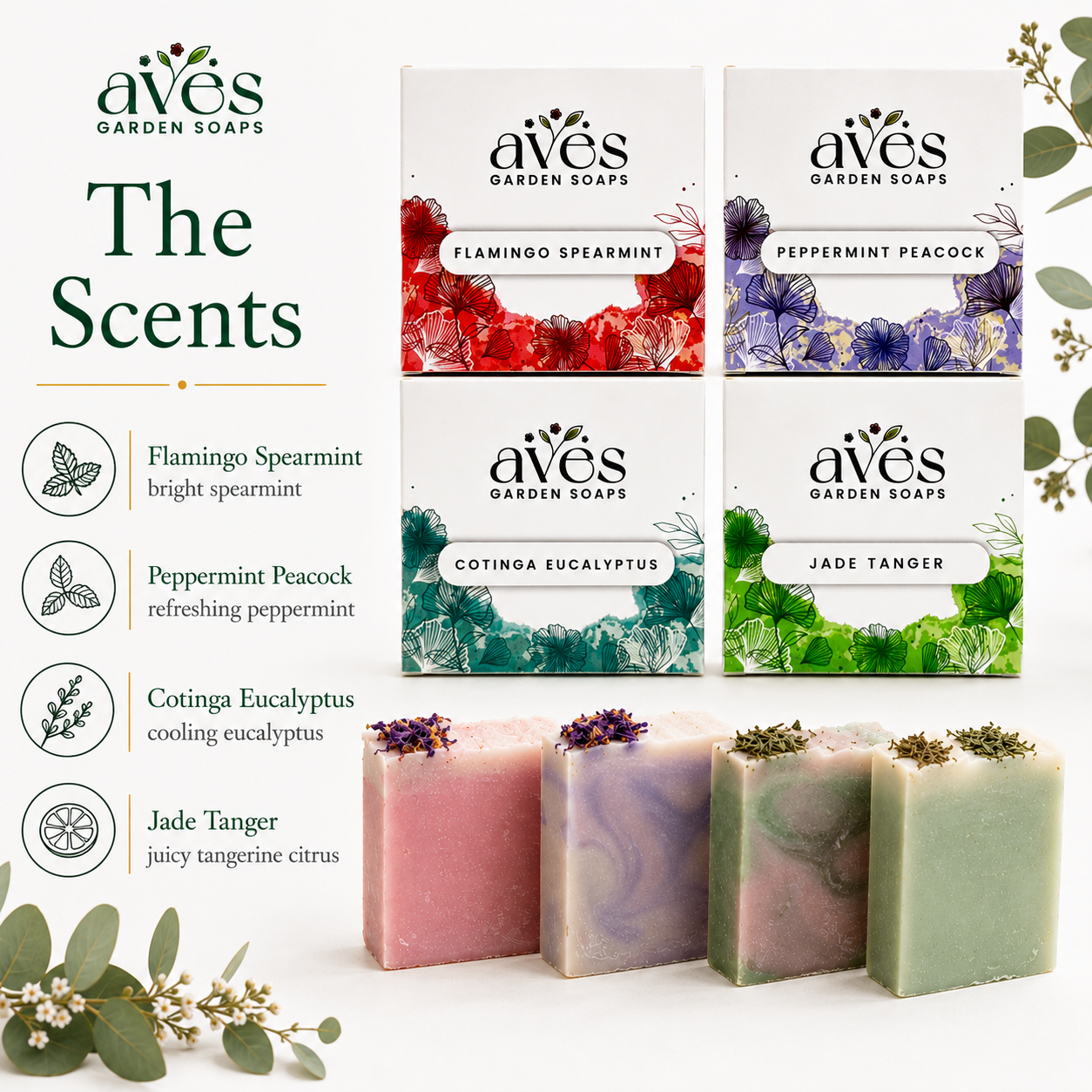 4-Pack Exotics