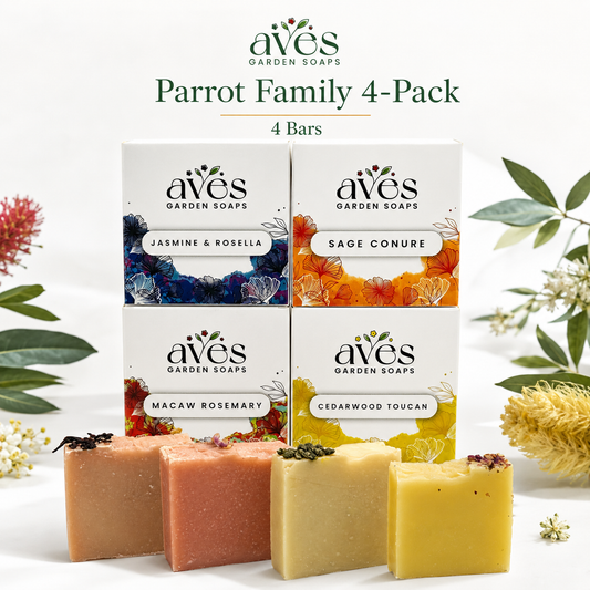 4-Pack Parrot Family