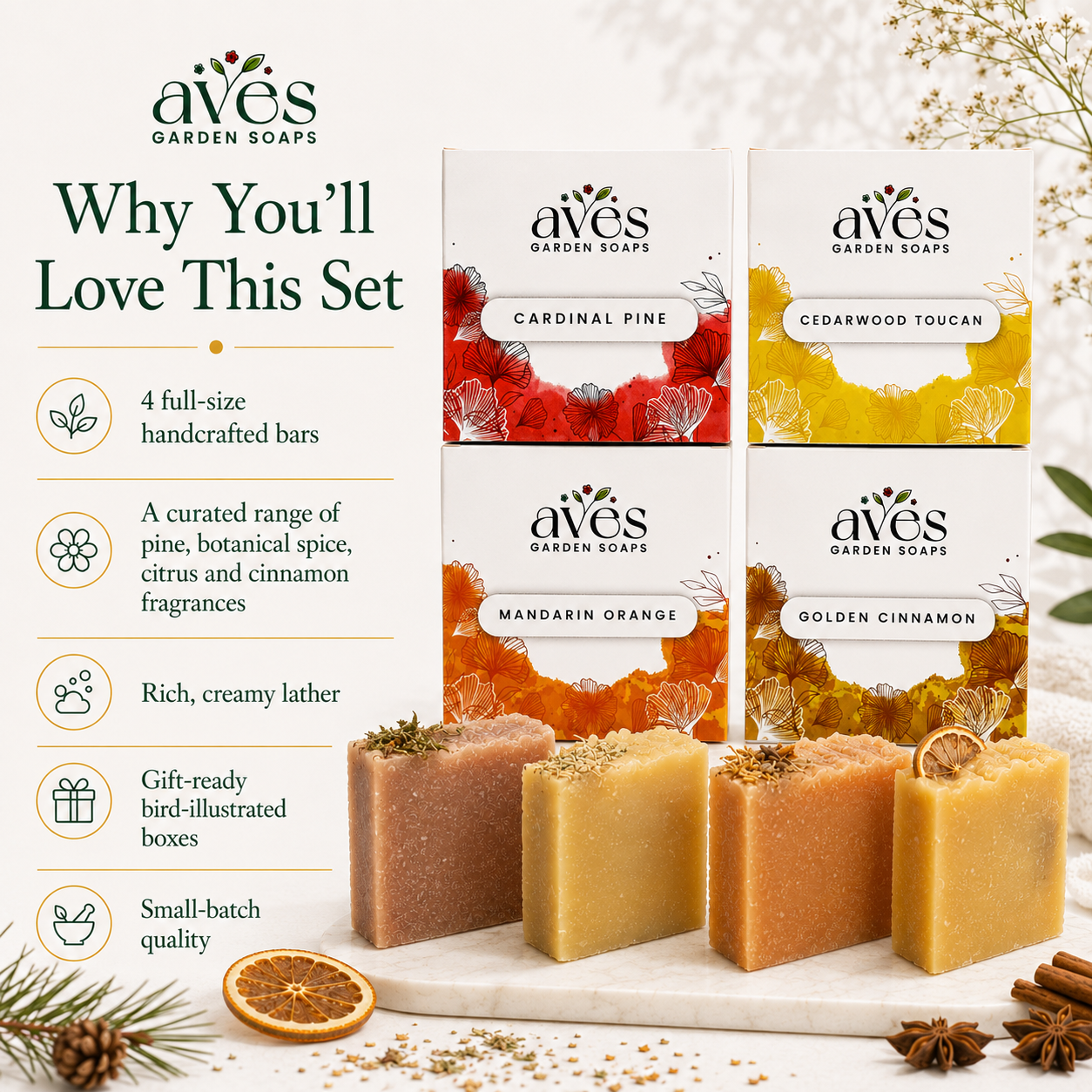 4-Pack Woods, Citrus & Spice