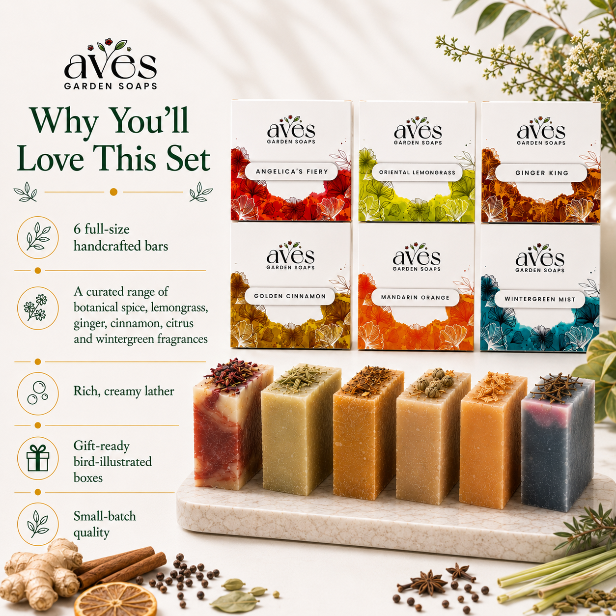 6-Pack Herbs, Citrus & Spice