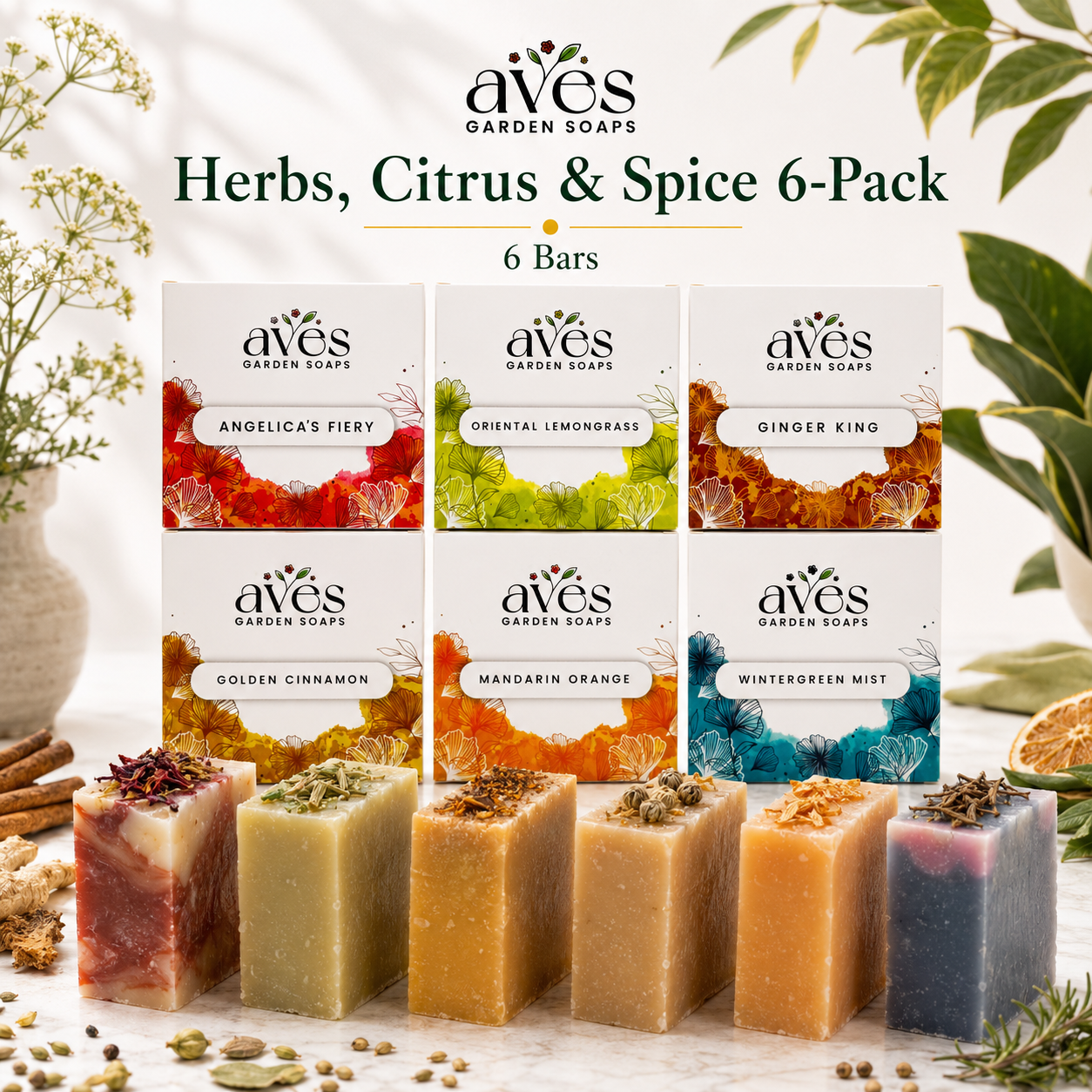 6-Pack Herbs, Citrus & Spice