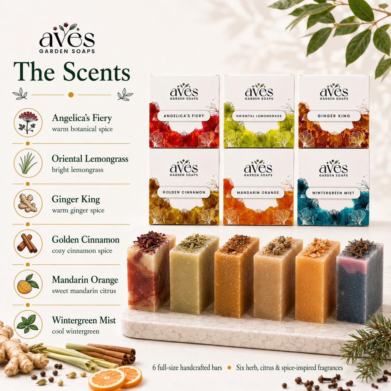 6-Pack Herbs, Citrus & Spice
