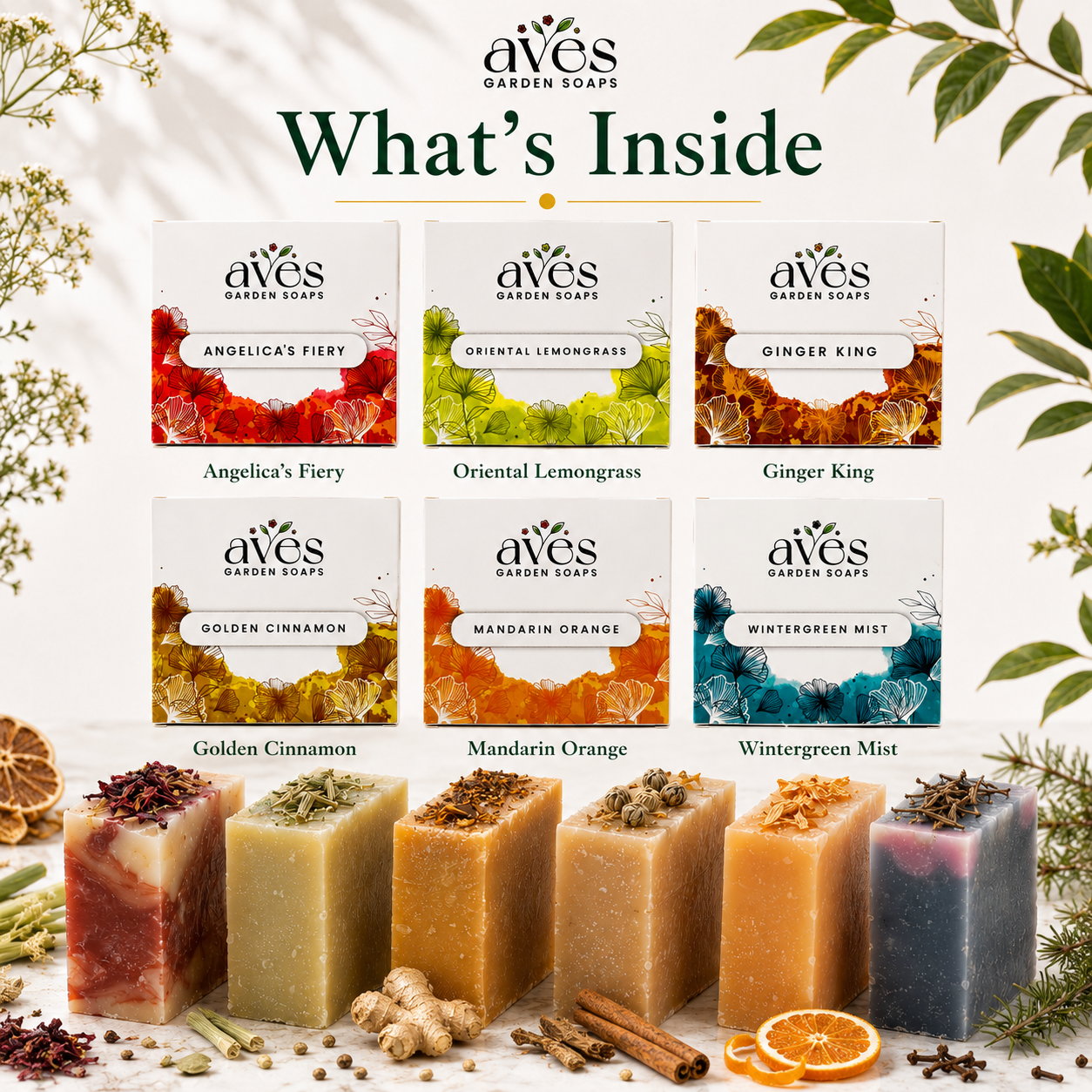 6-Pack Herbs, Citrus & Spice