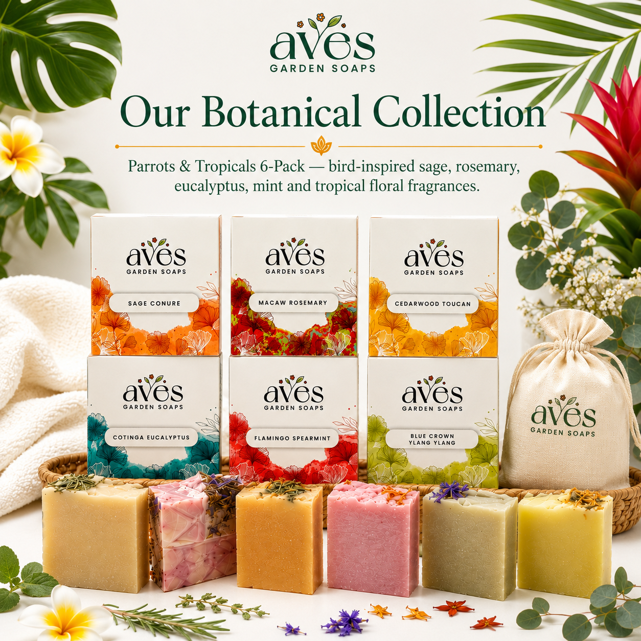 6-Pack Parrots & Tropicals