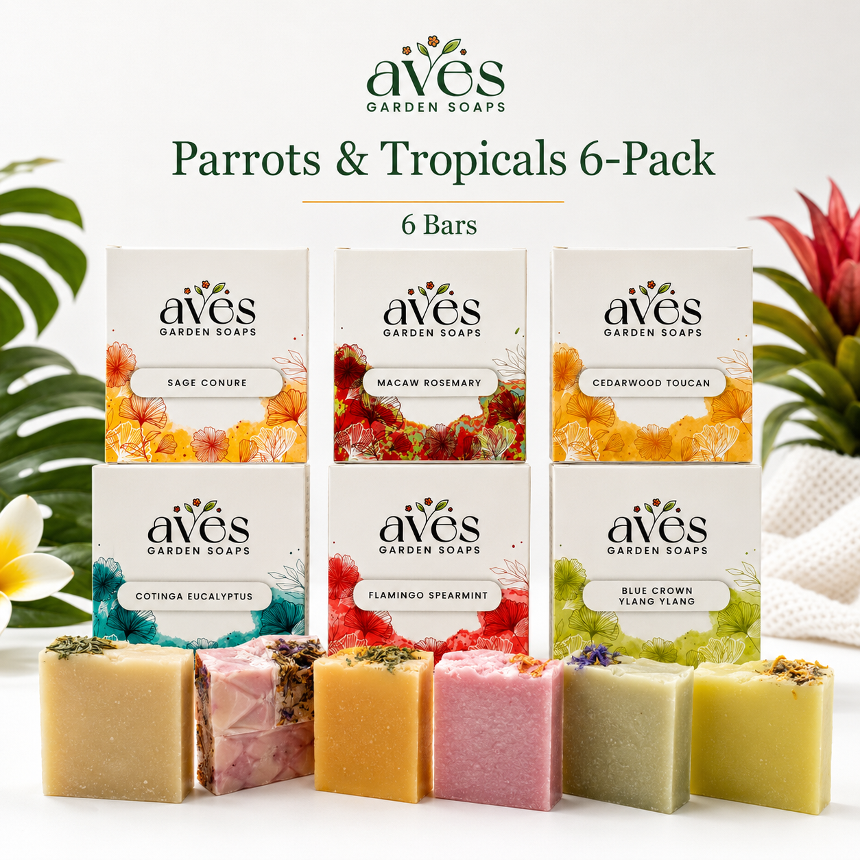 6-Pack Parrots & Tropicals