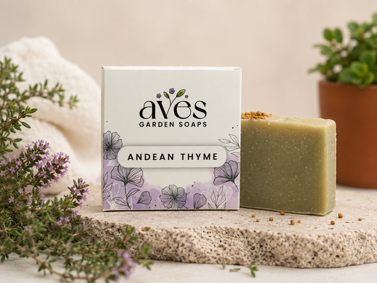Andean Thyme