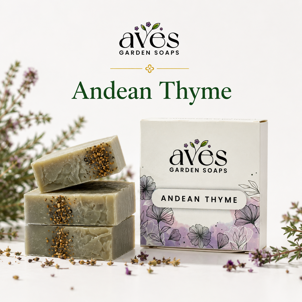 Andean Thyme
