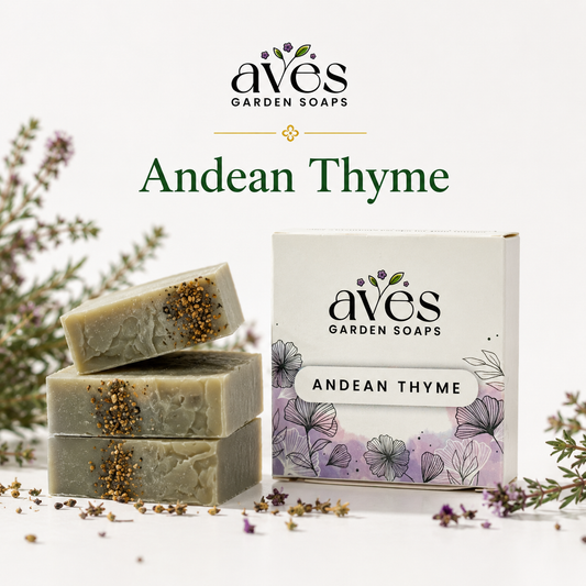 Andean Thyme