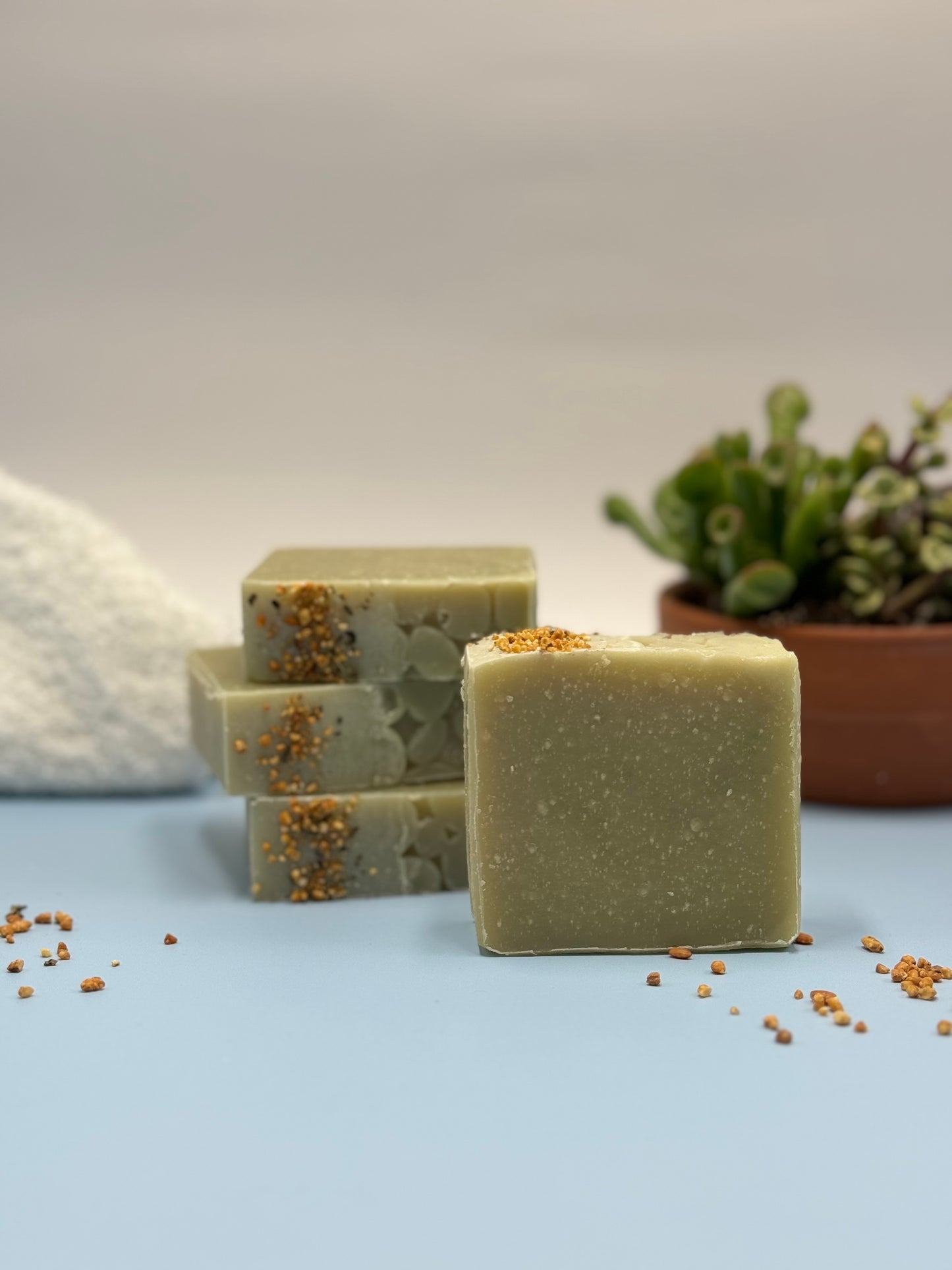 Andean Thyme