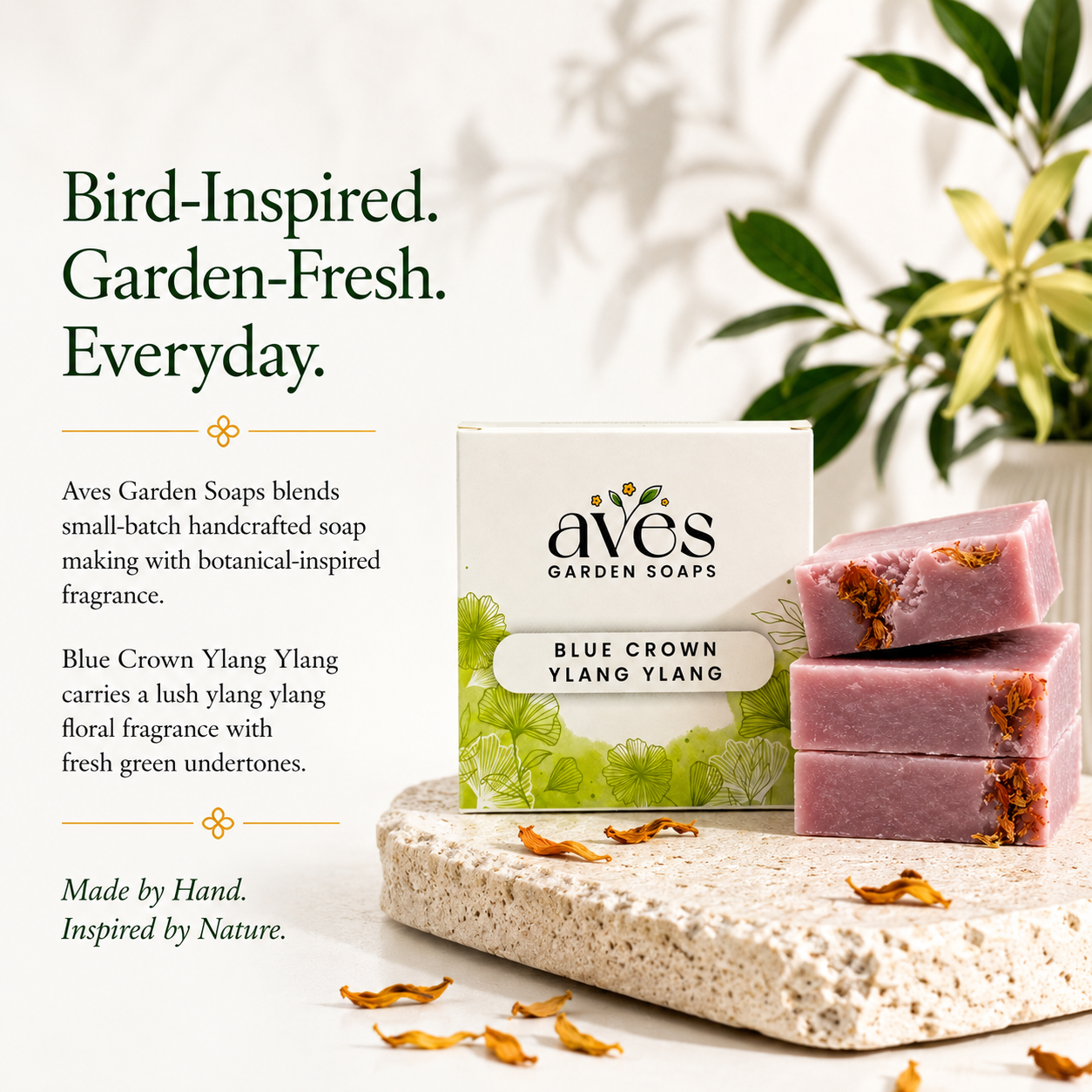 Blue Crown Ylang Ylang