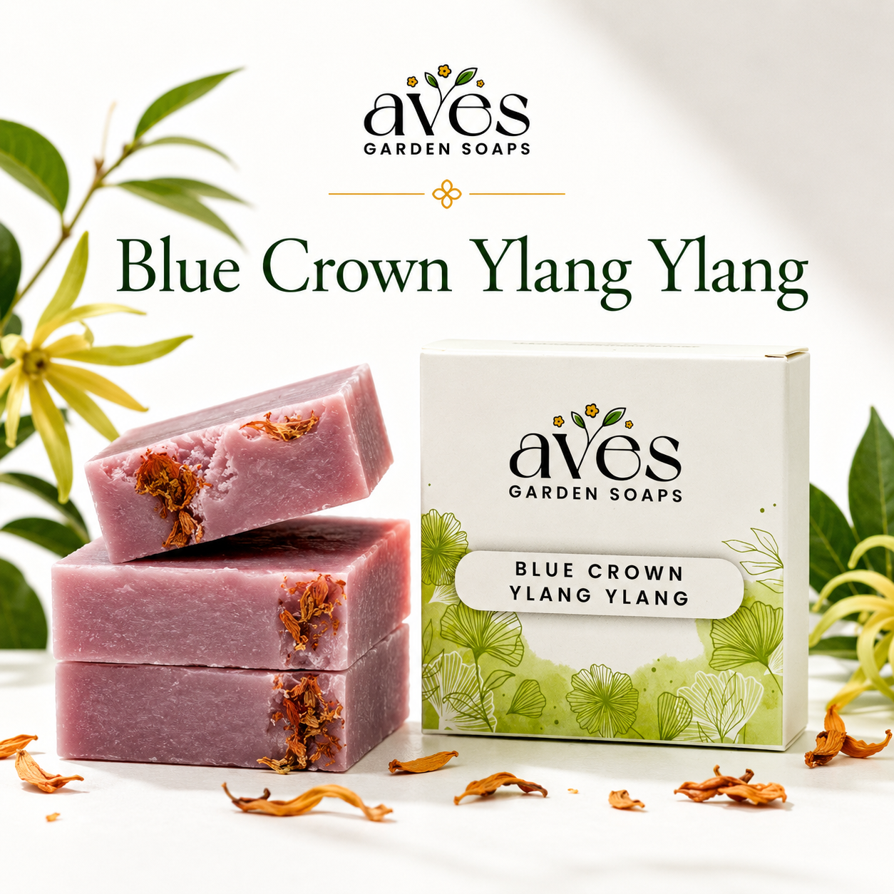 Blue Crown Ylang Ylang