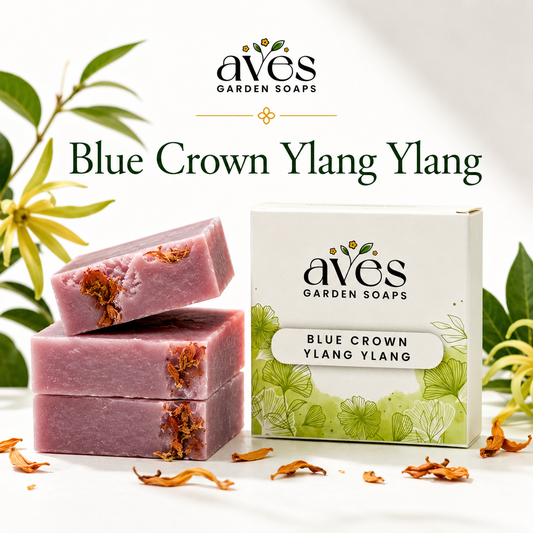Blue Crown Ylang Ylang