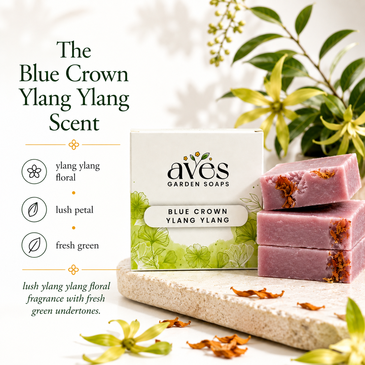 Blue Crown Ylang Ylang