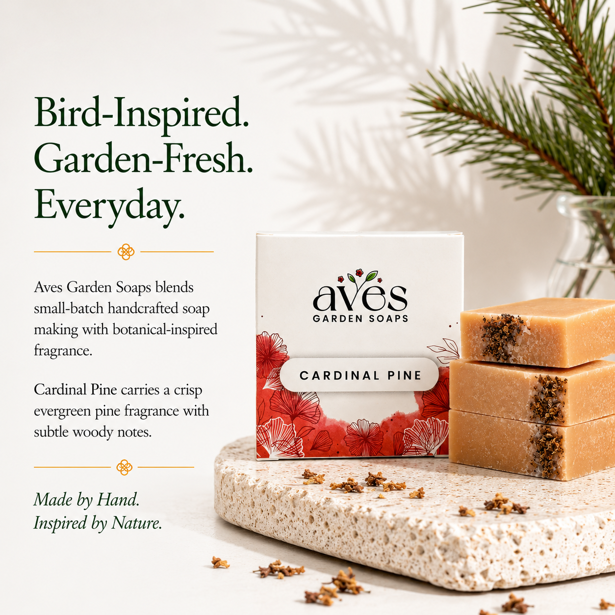 Cardinal Pine