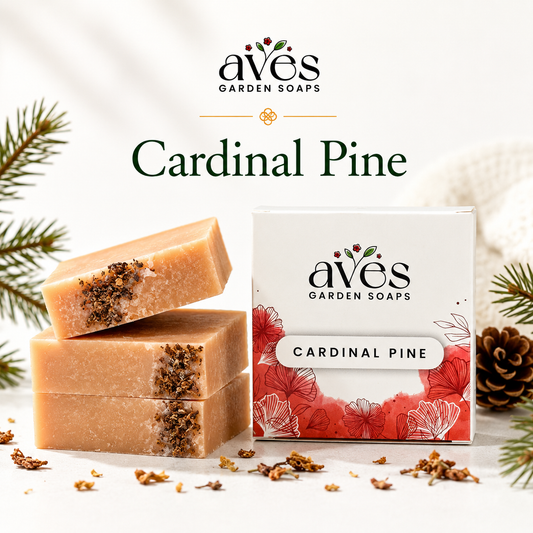 Cardinal Pine