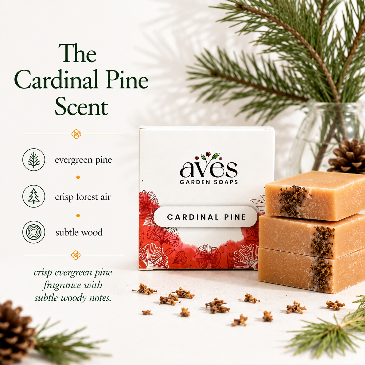 Cardinal Pine