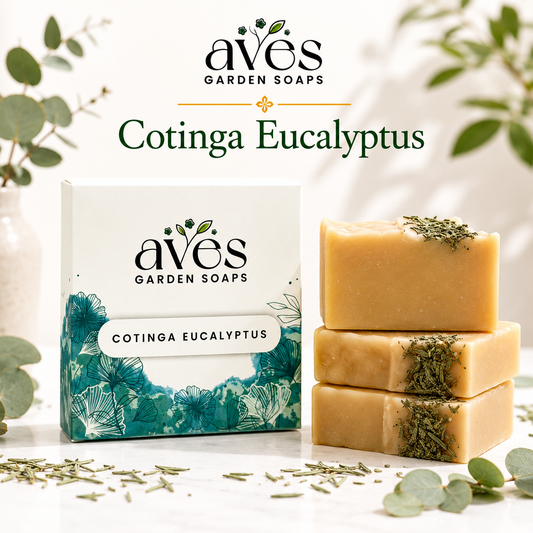 Cotinga Eucalyptus
