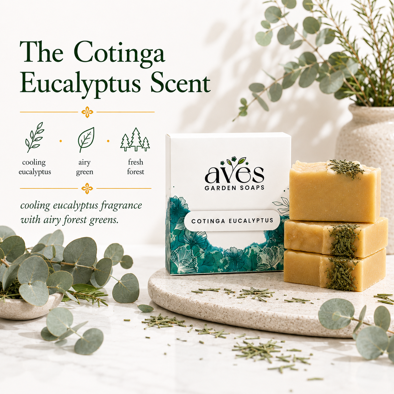 Cotinga Eucalyptus