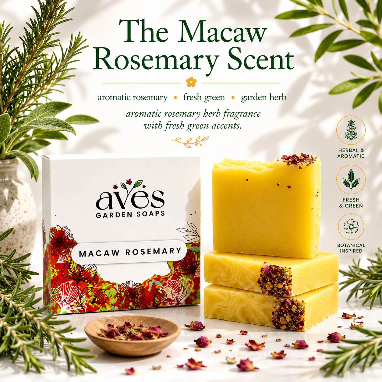 Macaw Rosemary