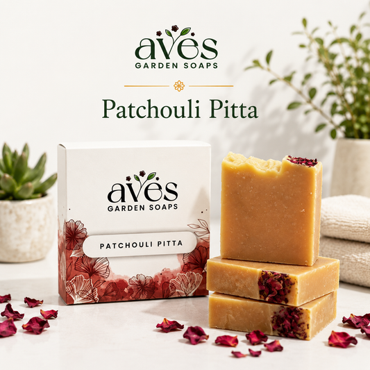 Patchouli Pitta