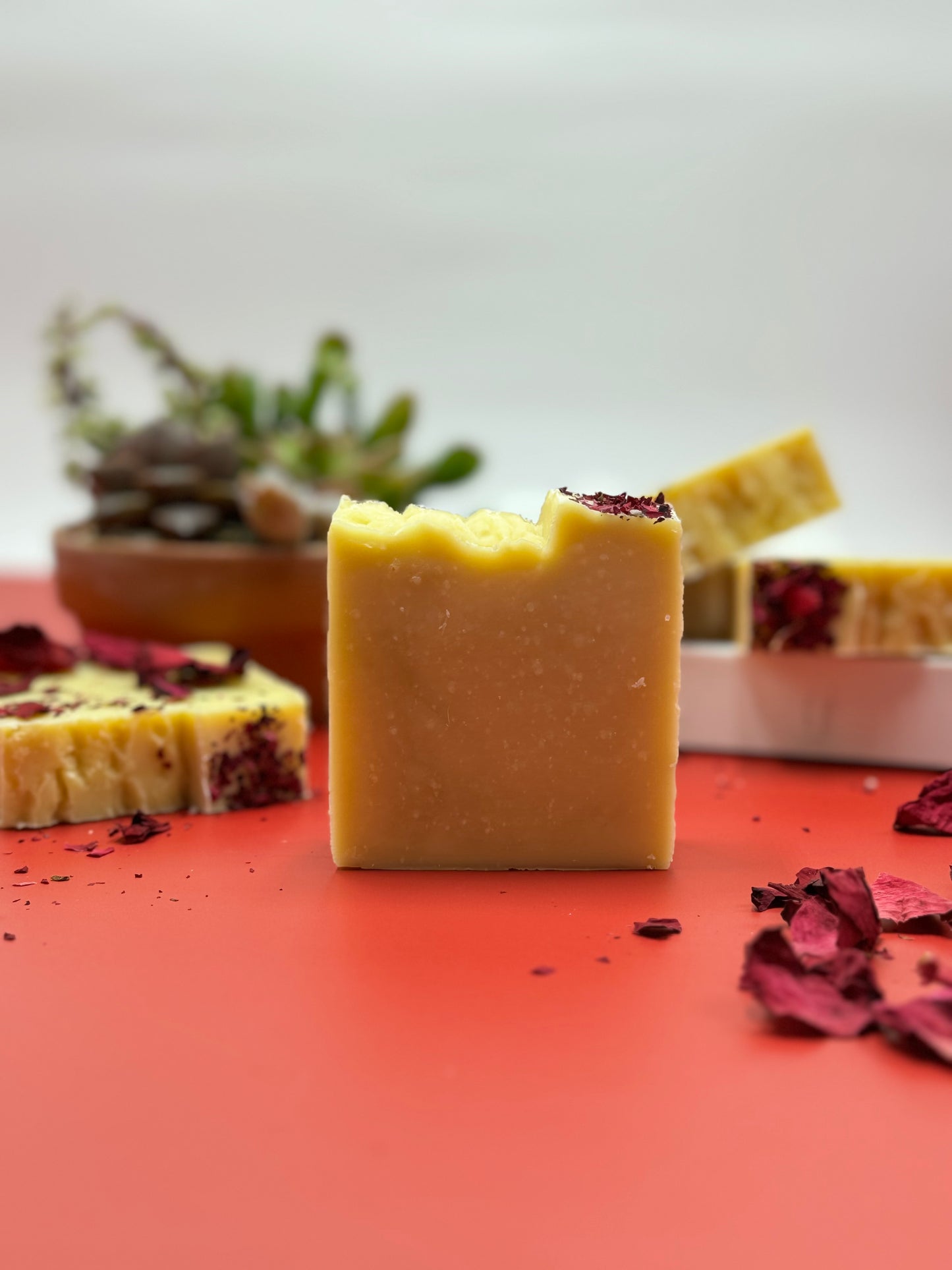 Patchouli Pitta